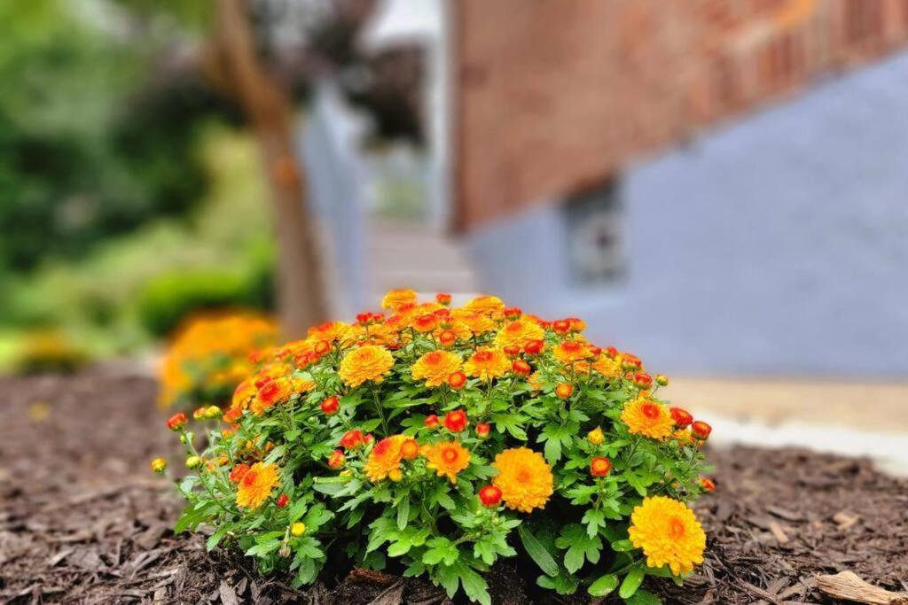 Unique & Peaceful Boston Home المظهر الخارجي الصورة